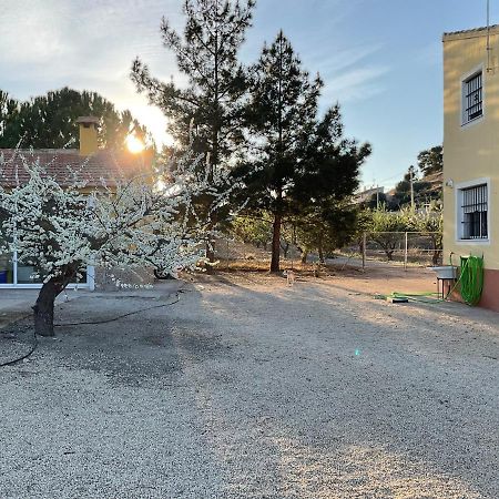 La Antigua Casa Del Astronomo Casa Rural Ricote Esterno foto