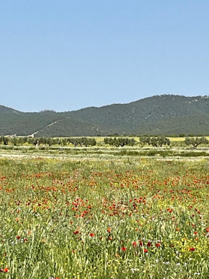 La Antigua Casa Del Astronomo Casa Rural Ricote Esterno foto